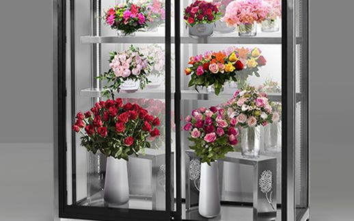 Варіант з дзеркальною задньою стінкою